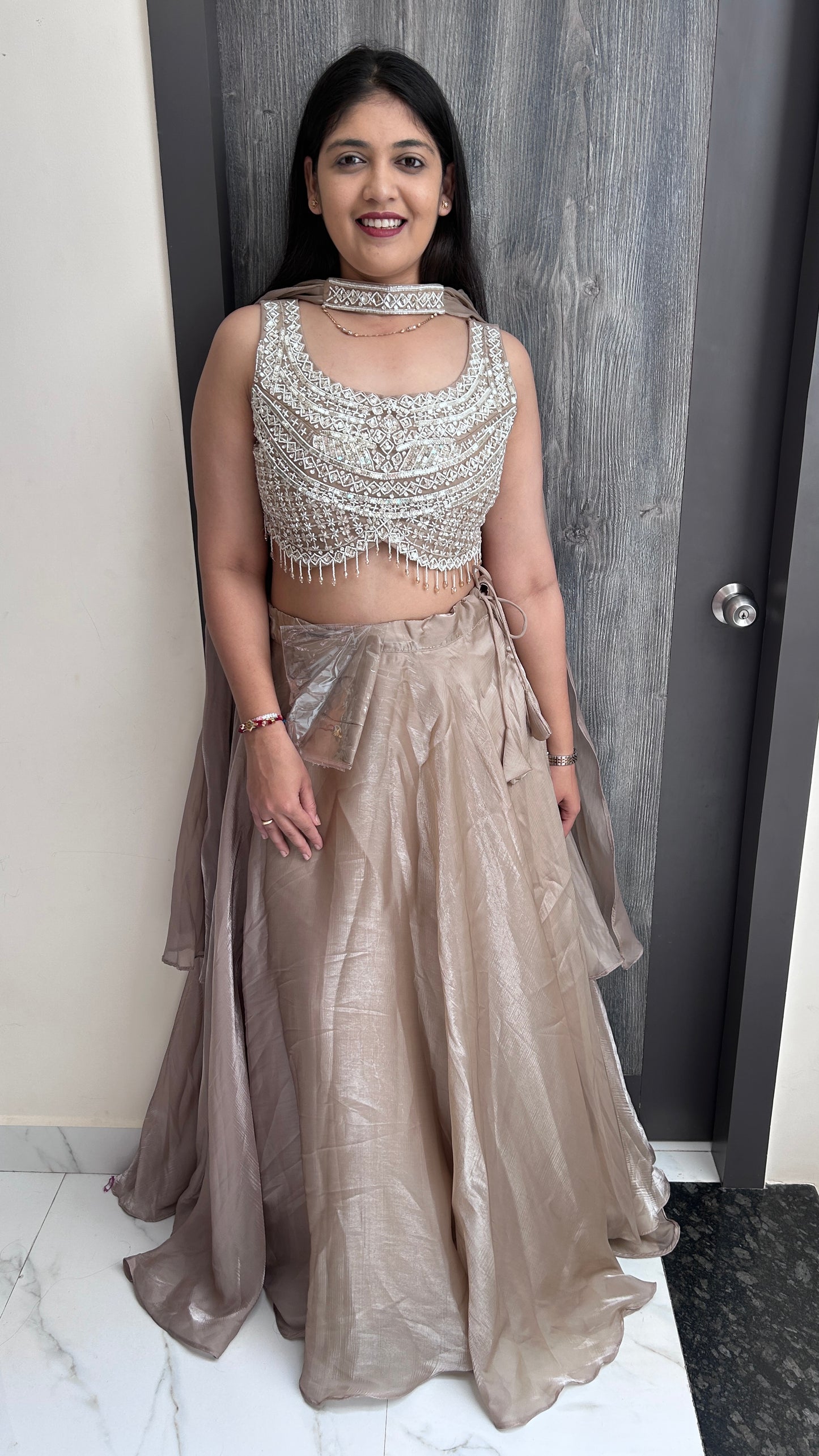 Champagne Beige Hand-Embroidered Tissue Crop Top