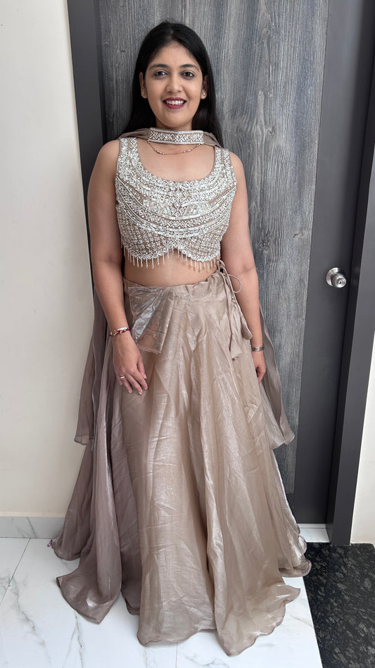Champagne Beige Hand-Embroidered Tissue Crop Top